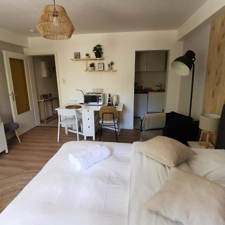 Marnesia - Studio Avec Vue Sur Les Quais Strasbourg Exterior foto