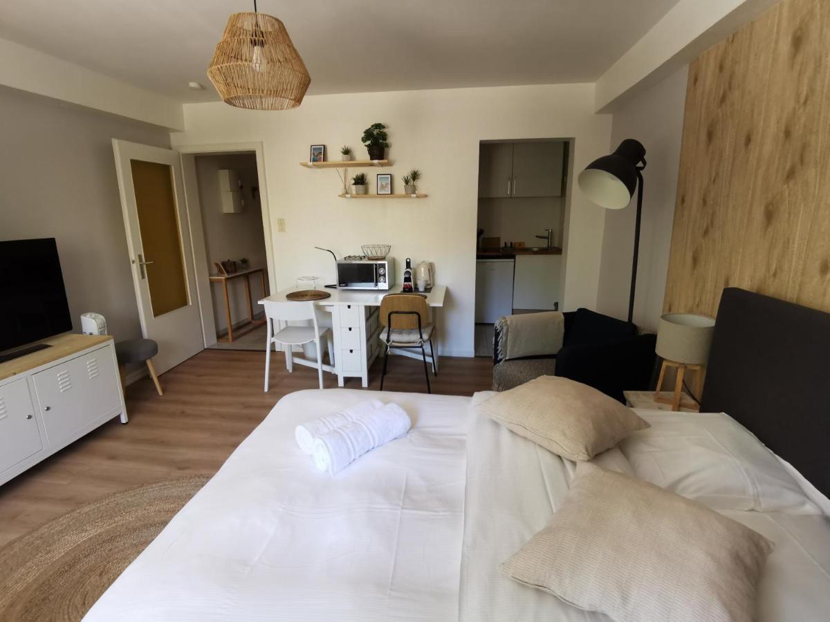 Marnesia - Studio Avec Vue Sur Les Quais Strasbourg Exterior foto