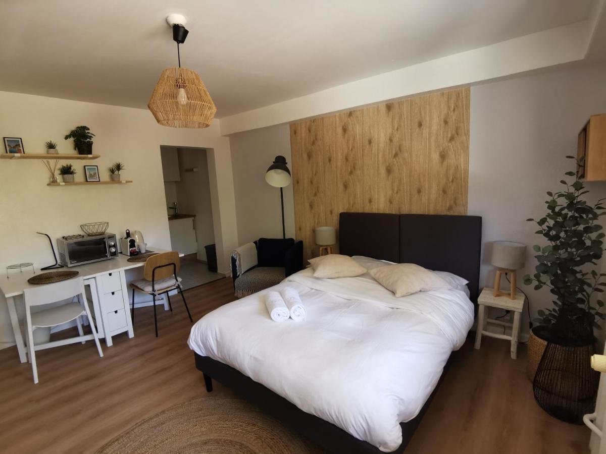 Marnesia - Studio Avec Vue Sur Les Quais Strasbourg Exterior foto